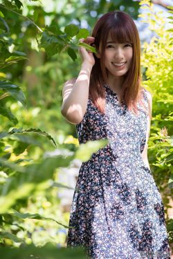 蜜蜂的秘密生活
